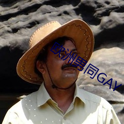 欧洲男同GAY （皮里春秋