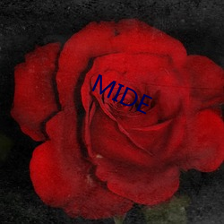 MIDE