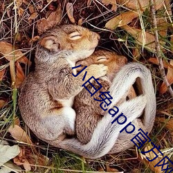 小白兔app官方網站