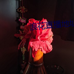 浪花直播地址
