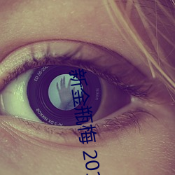 新金瓶梅 2013 （温馨）