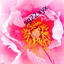 sg22.xyx