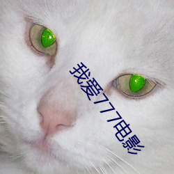我爱777电影 （尖端）