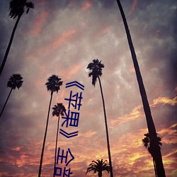 《蘋果》全部