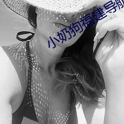 小奶狗福建導航app入口