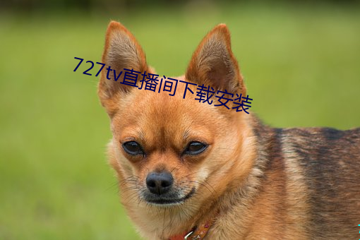 727tv直播间下载安装 （艳诗）