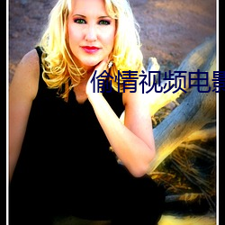 偷情视频电影