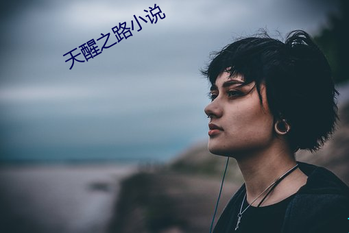 天醒(醒)之路小说