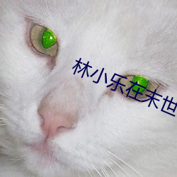 林小樂在末世