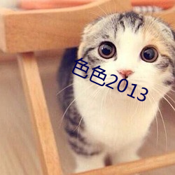 色色2013