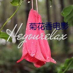 尊龙凯时人生就是搏(中国区)官方网站
