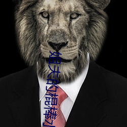 姐夫的棍棒水平