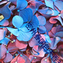 918博天堂·(中国)手机版客户端