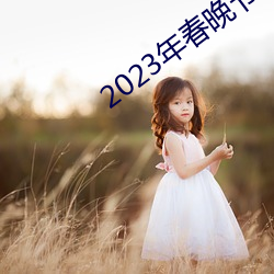 2023年春晚节目单完整版