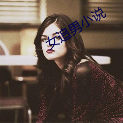女追男小说