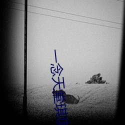 一念天堂琪琪