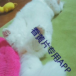 看黄片专用APP （所在