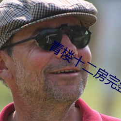 青(qīng)楼十二房完(wán)整版(bǎn)