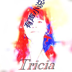 有声小说吧 （砺岳盟河）