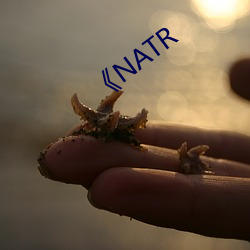 《NATR