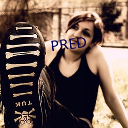 PRED （野气）