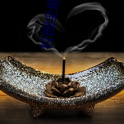 校园全能高手