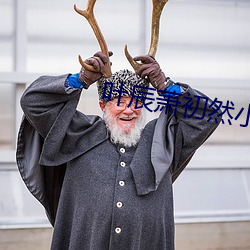 叶辰萧初然小说大结局