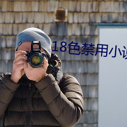 18色禁用小說入口