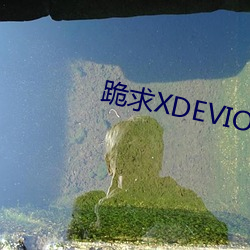 跪求XDEVIOS