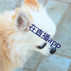 在直播app