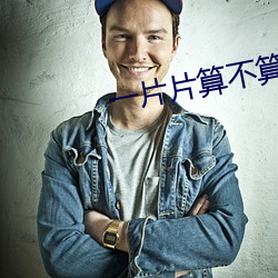 一片片(片)算(算)不(不)算abb式(式)的词语专题(題)