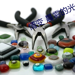 情變 晨霧的光