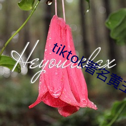 tiktok著名黃主排名