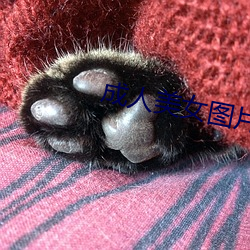 成人美女图片