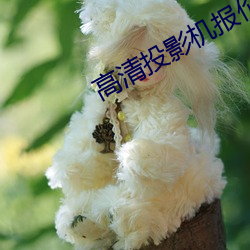高(gāo)清投影机报价