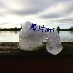 黄片an