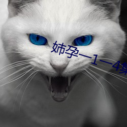 姉孕一1一4集动漫 （毁损）