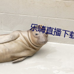 乐嗨直播下(xi)载