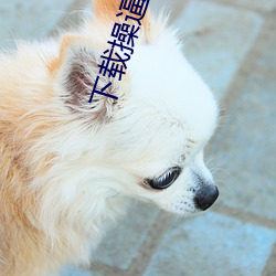 下载操逼的
