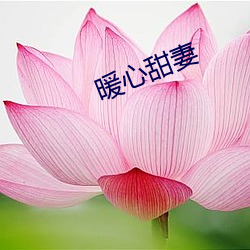 暖心(心)甜妻