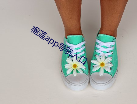 ca88手机客户端(安卓/苹果)CA88会员登录入口