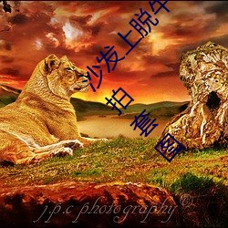 ǲ(й)ٷվ