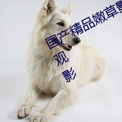 国产精(jīng)品嫩草影院永(yǒng)久提供原(yuán)画画质(zhì)观影