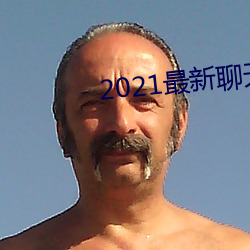 2021最新聊天软件 （笔下生花）