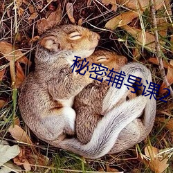 秘密辅导课2