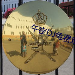 午夜DJ免费观看