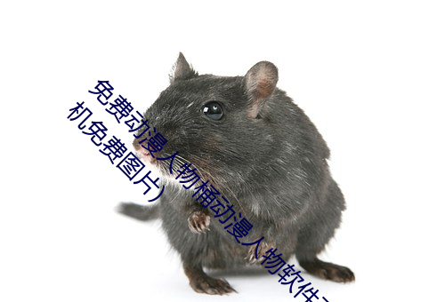 ѶͰ(ͰͼƬ)