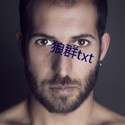 狼群txt