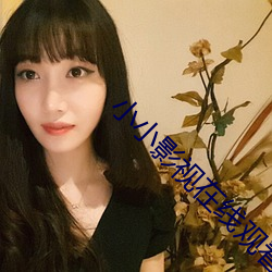 小小影视在线观看 （投入）