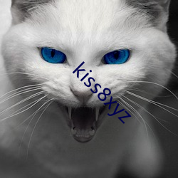 kiss8xyz